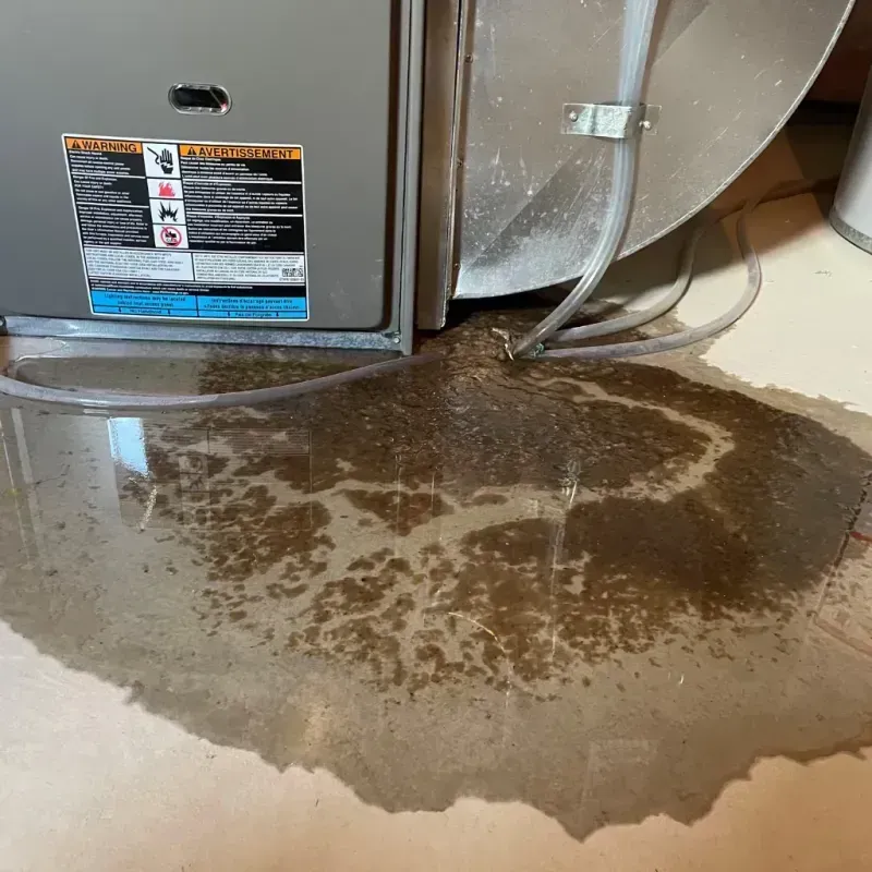 Appliance Leak Cleanup in Johnstown, CO